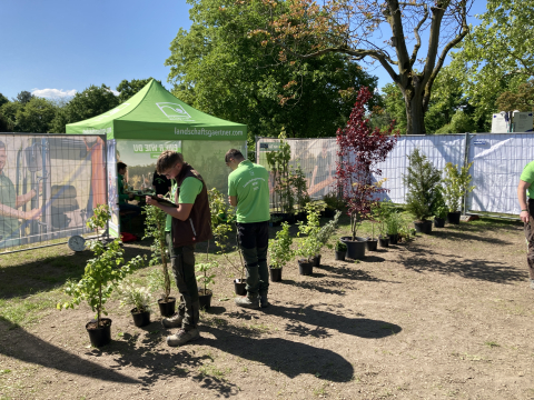Die Auszubildenden zeigen ihr Fachwissen bei der Aufgabe Pflanzenkenntnisse und bestimmen Pflanzenarten.